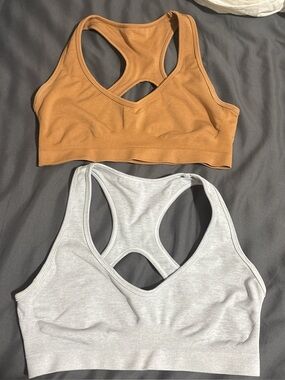 Alphalete sports bras